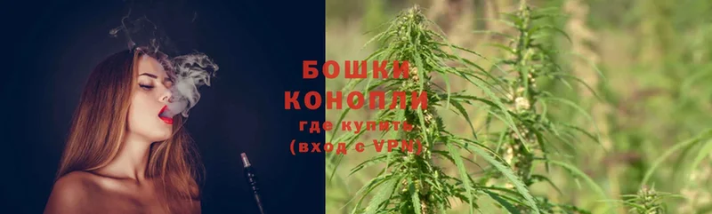 ссылка на мегу вход  как найти наркотики  Невинномысск  shop какой сайт  Каннабис OG Kush 